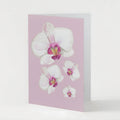 Tarjeta Orquidea Blanca