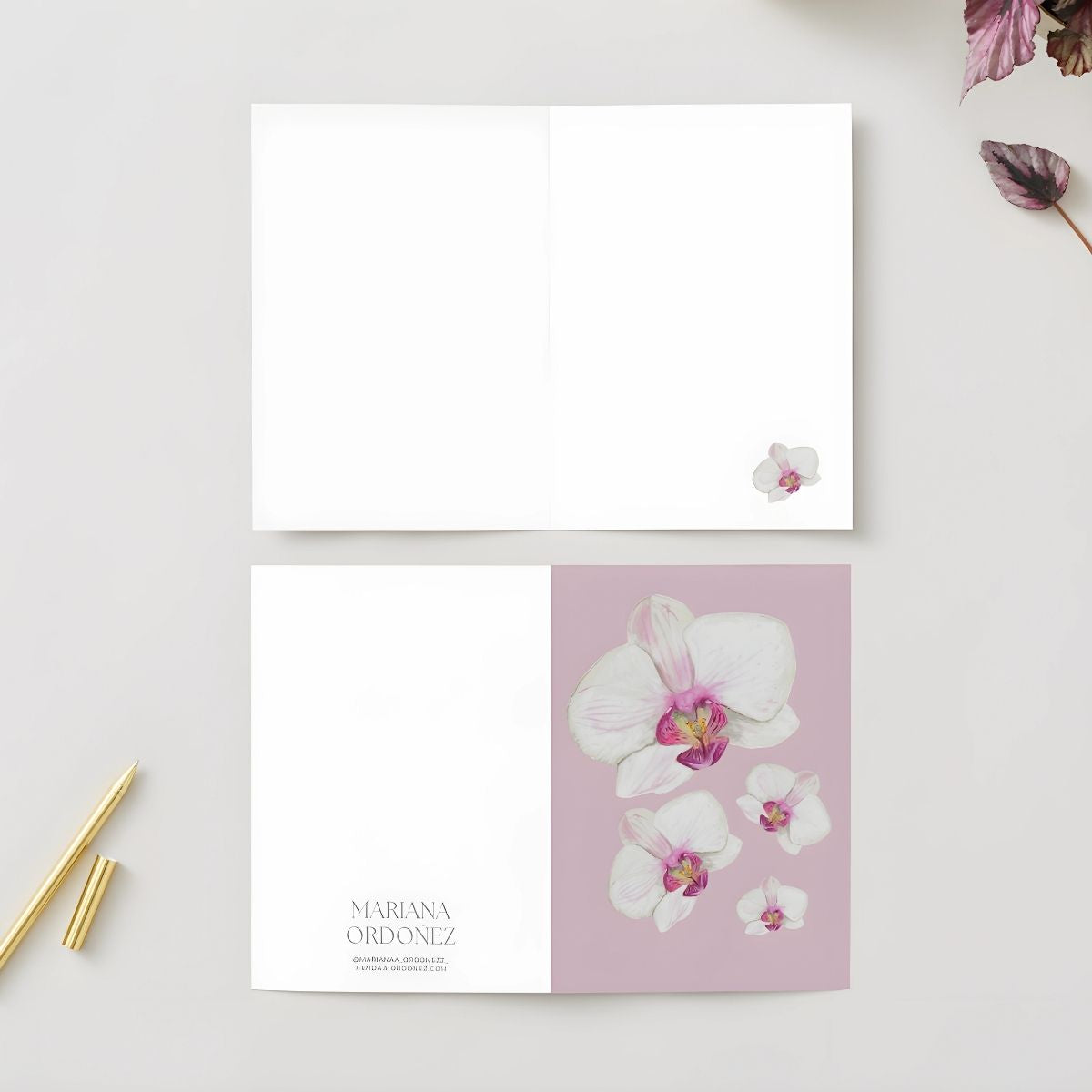 Tarjeta Orquidea Blanca
