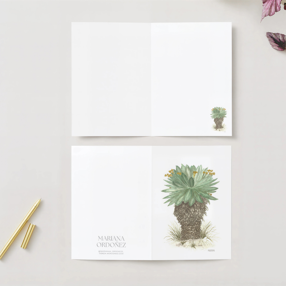 Tarjeta de Frailejón en Acuarela | Arte Botánico