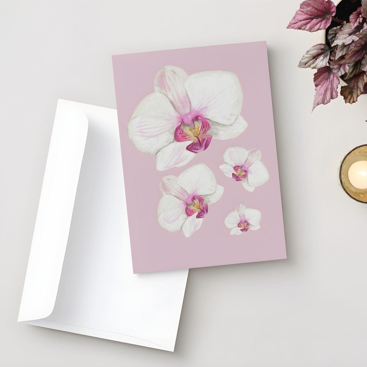 Tarjeta Orquidea Blanca