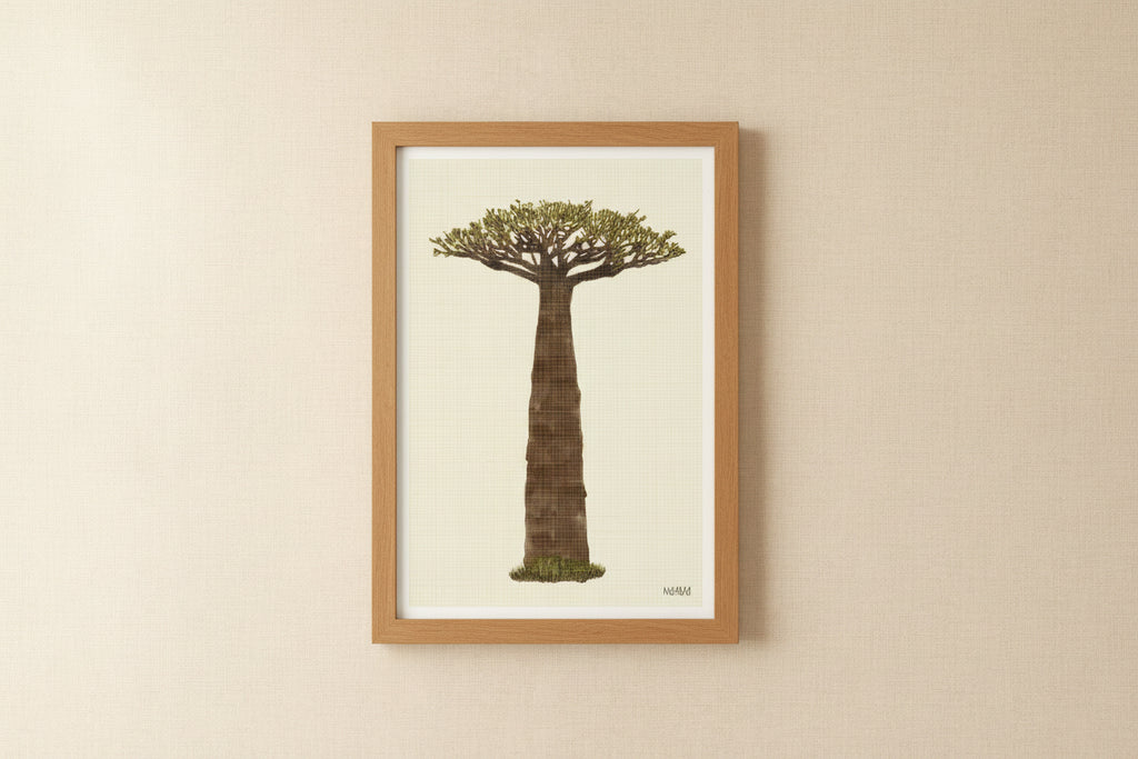Grounded Baobab