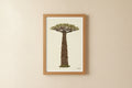 Grounded Baobab