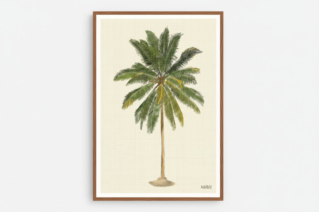 Calm Palm