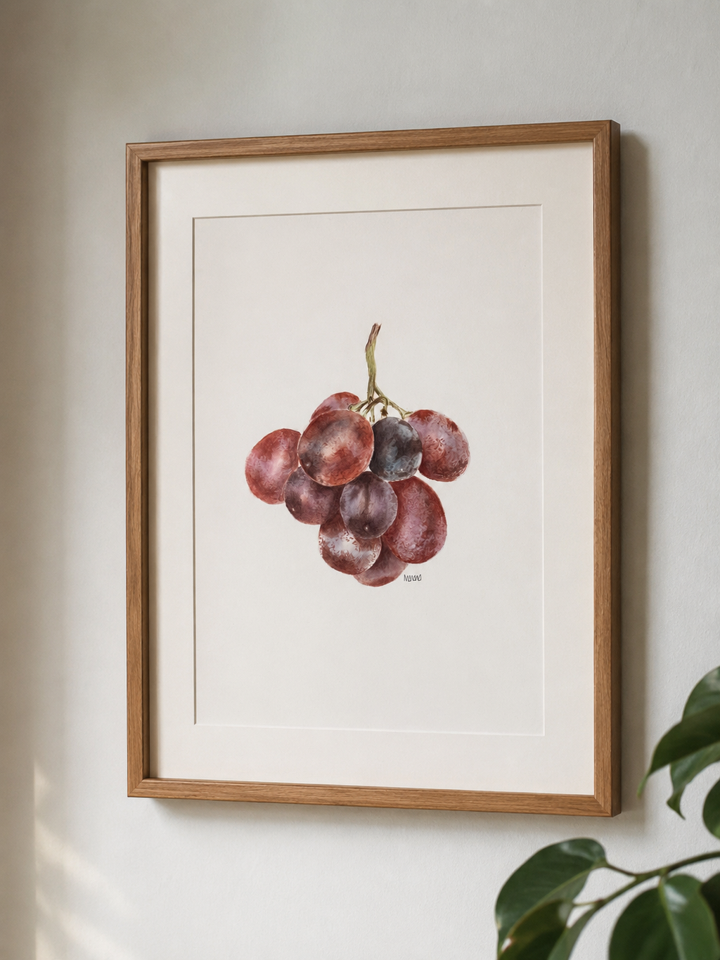 Ramo de Uvas - Acuarela