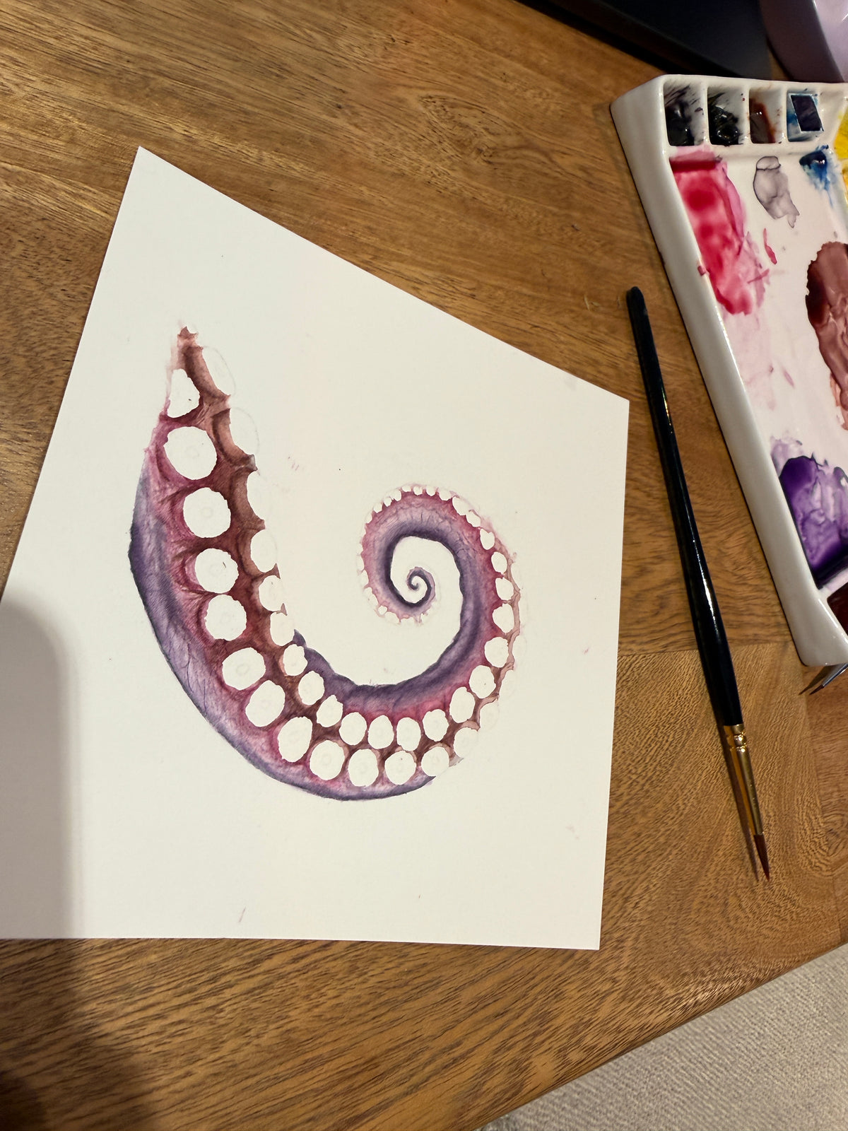 Ventosa de Pulpo | Acuarela Original de la serie La Mirada Lenta