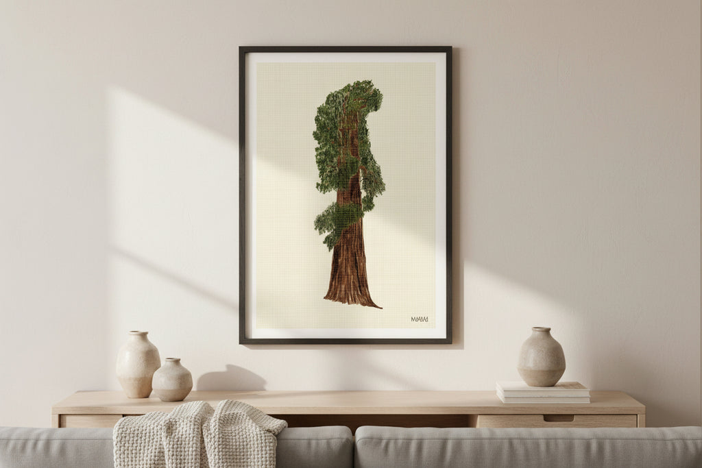 Still Sequoia