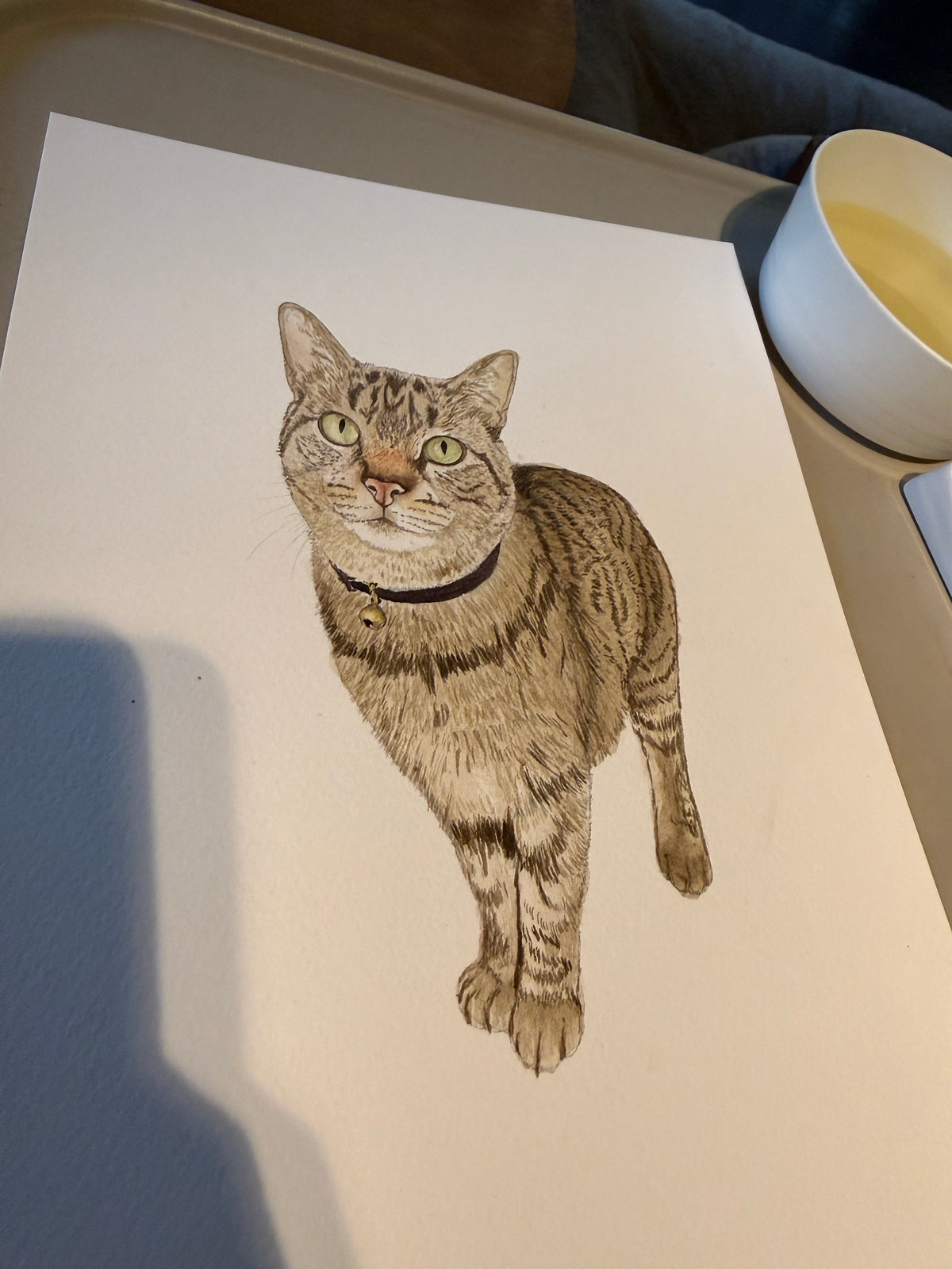 Gato atigrado