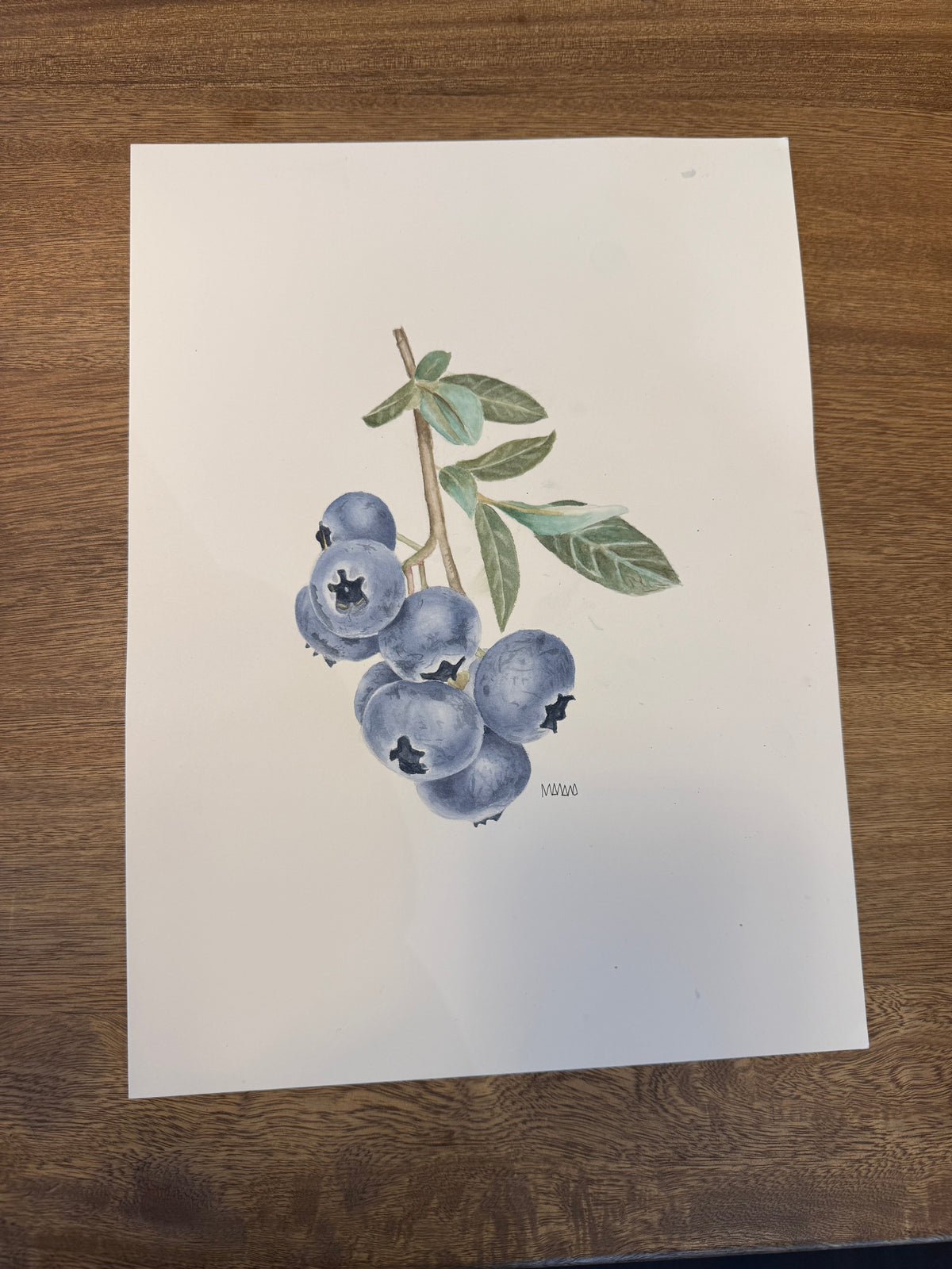 Arándanos