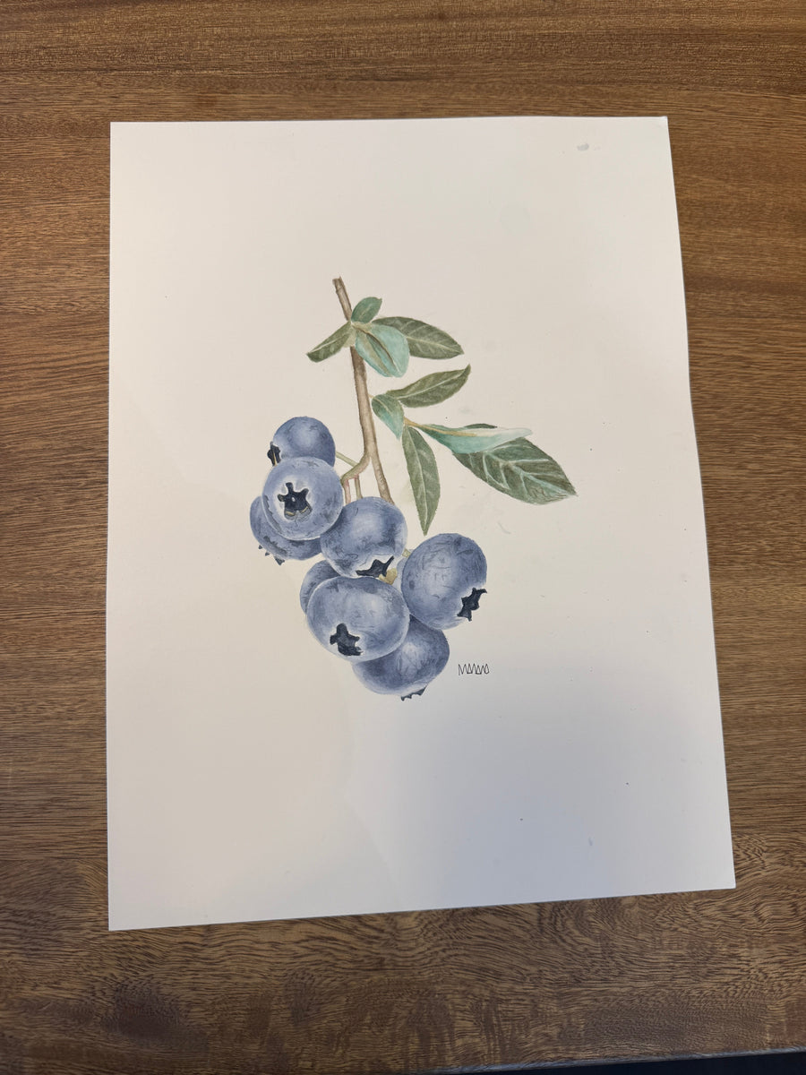 Arándanos