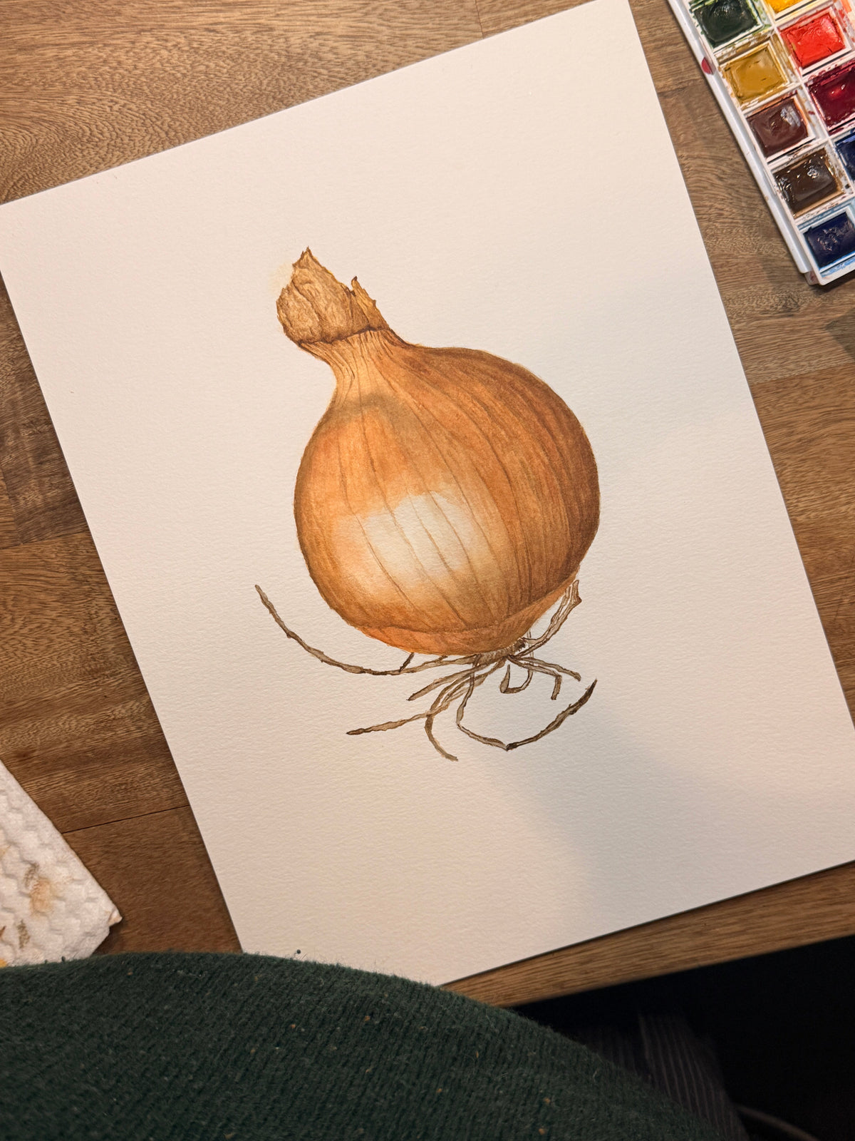 Cebolla