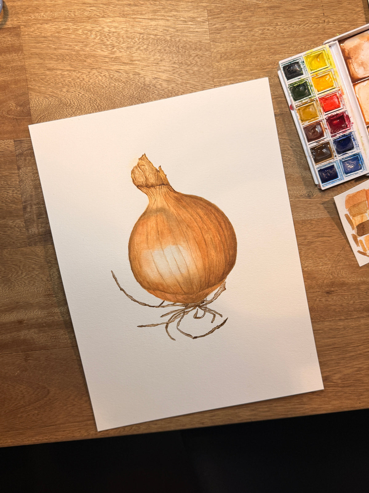 Cebolla