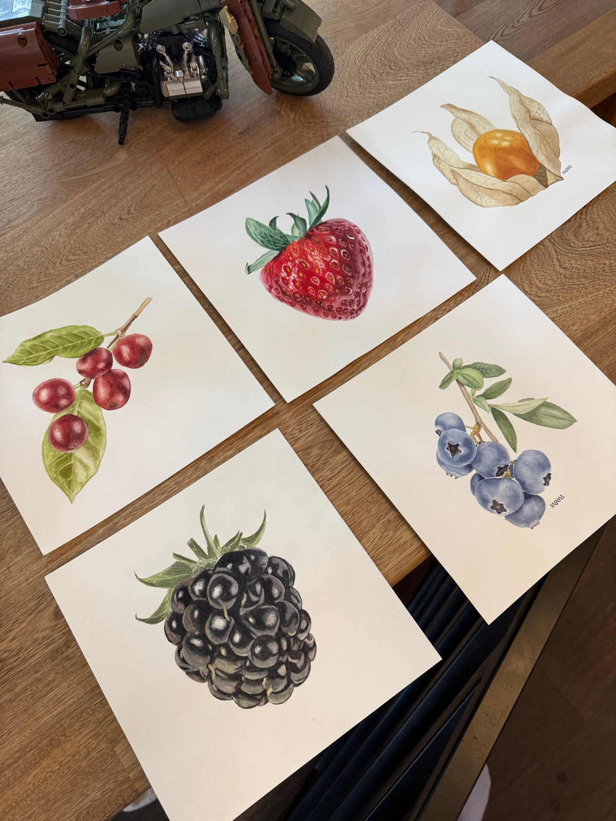 Colección de frutos