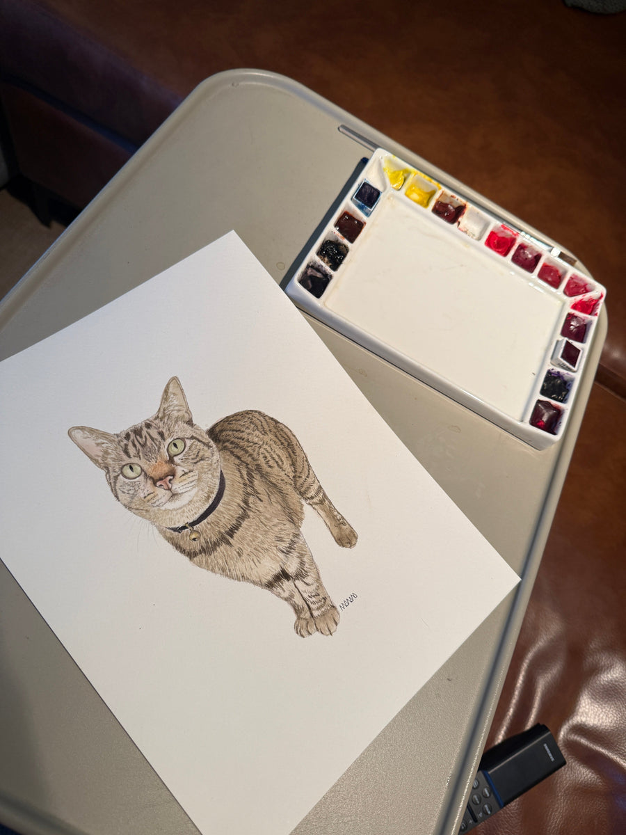 Gato atigrado