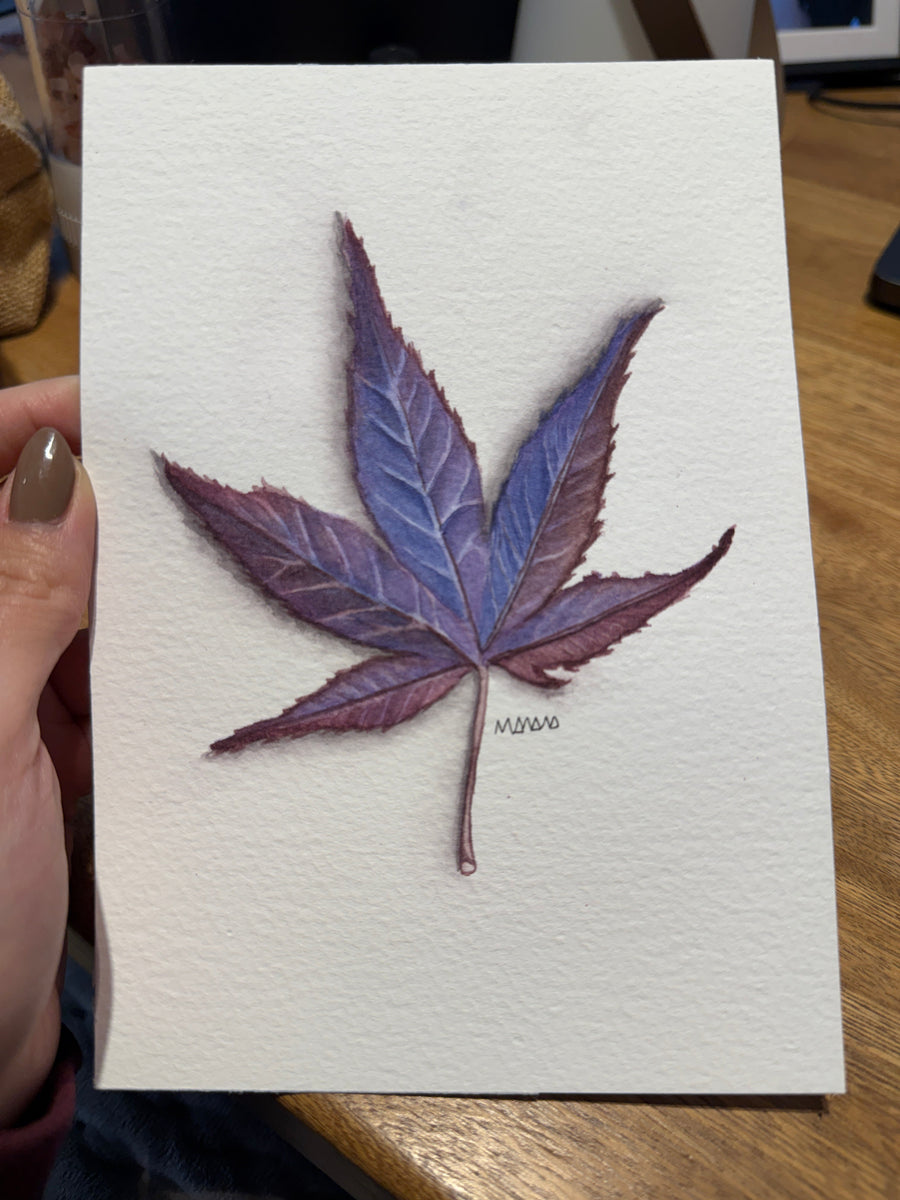 Hoja de arce morada