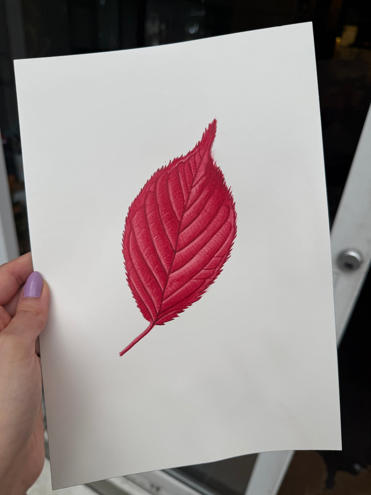 Hoja roja