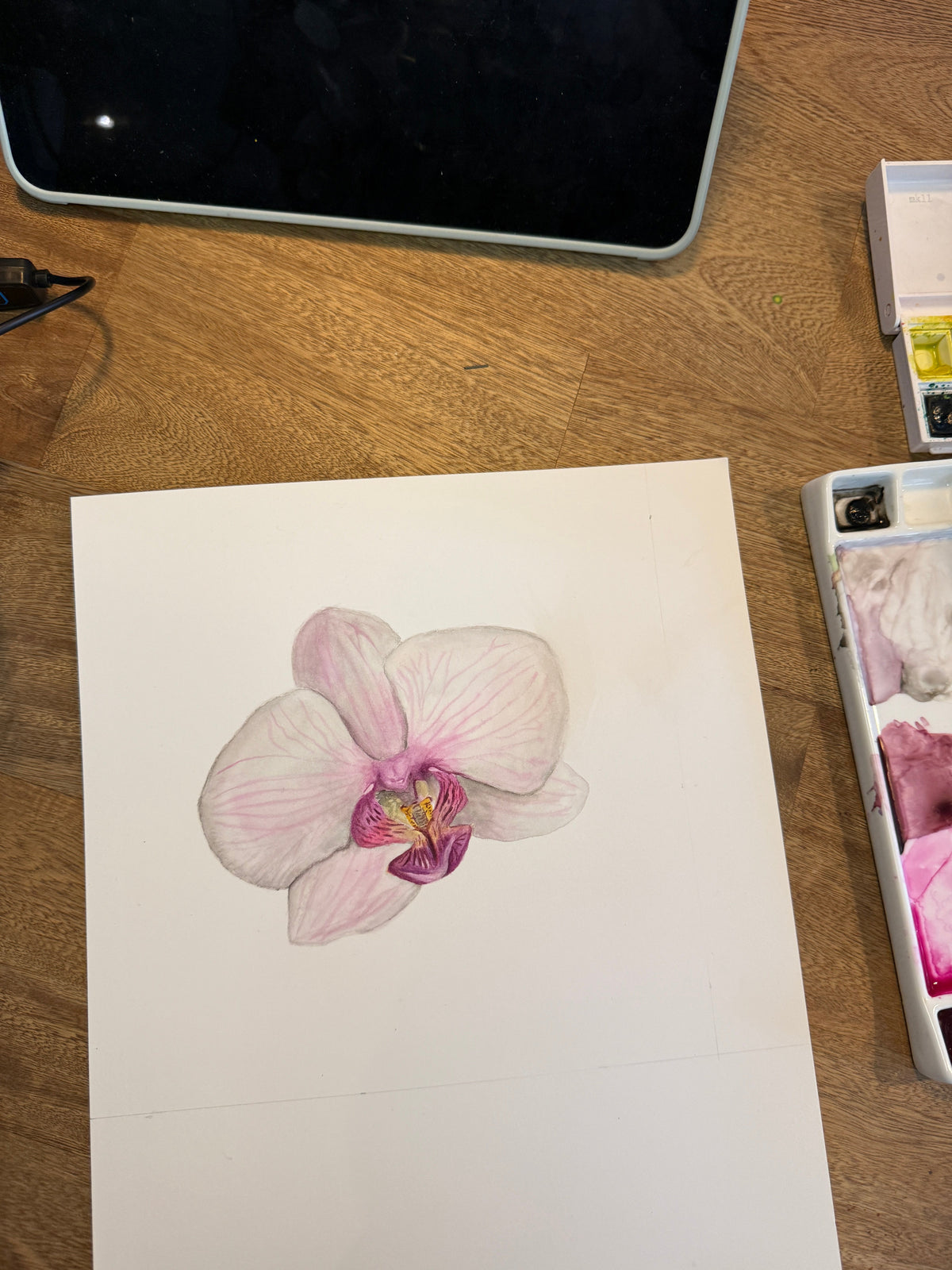 Orquídea