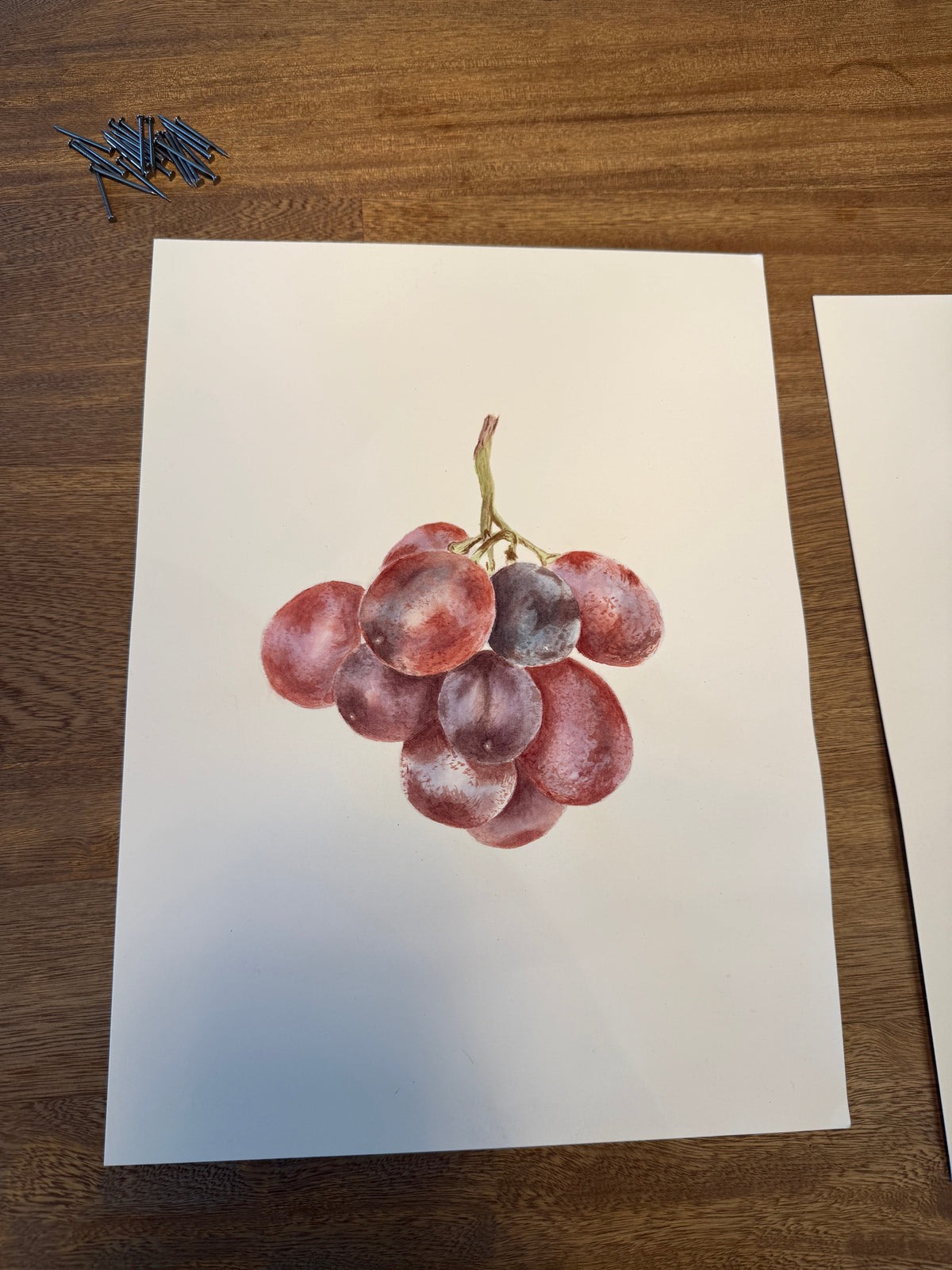 Uvas